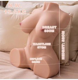 Dania Torso with Thrusting 19.5 cm
